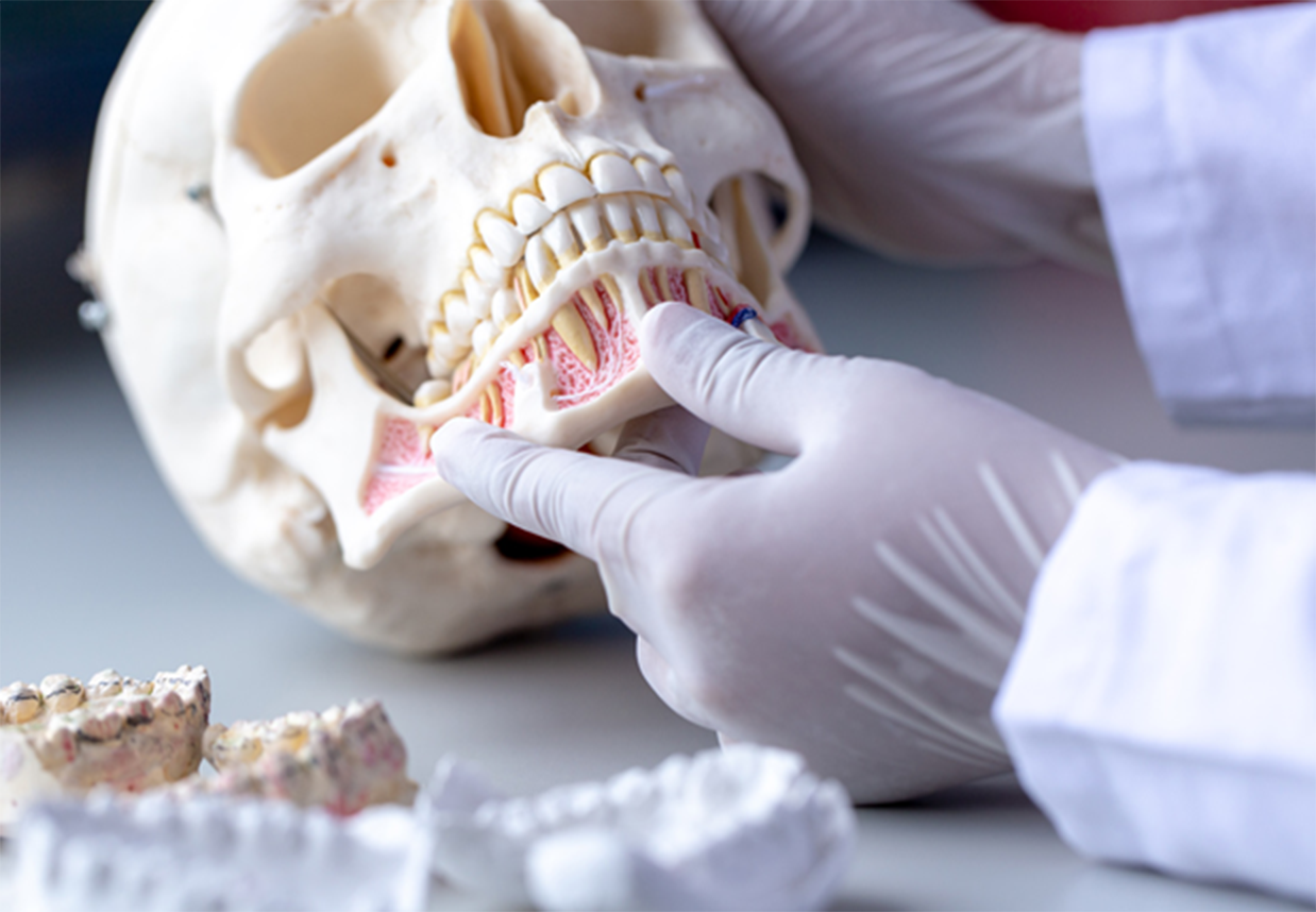 バイオフィルム